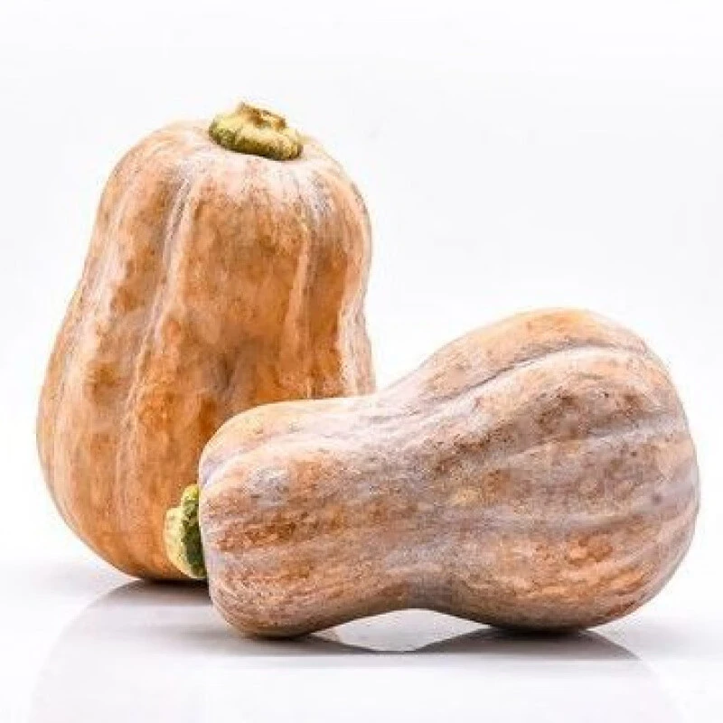 金香南瓜约850g±50g