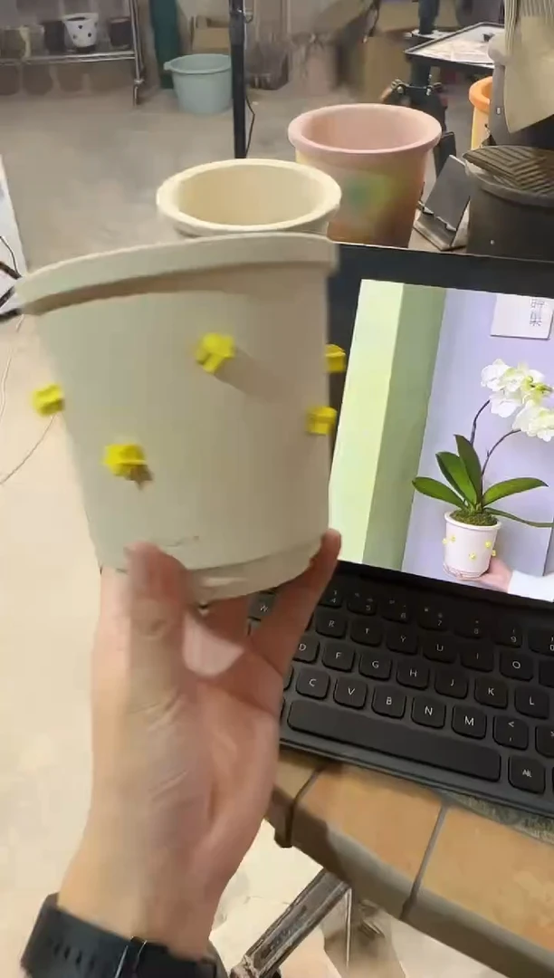 新品尝鲜活动   13口径白黄五星