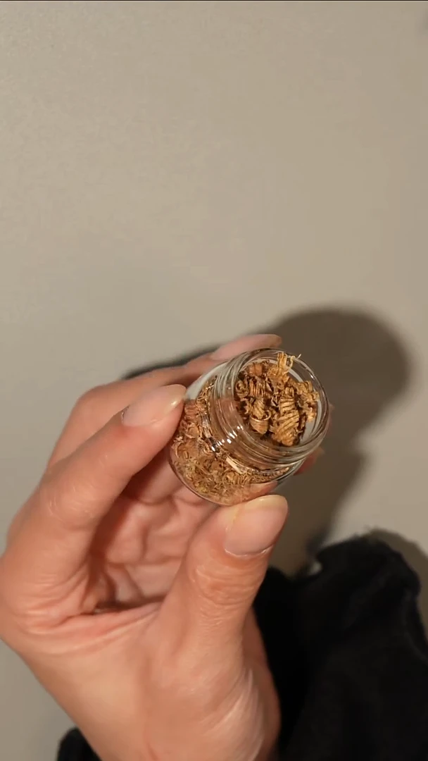 沉香沉香碎屑芽庄黄棋勾丝香料1克装