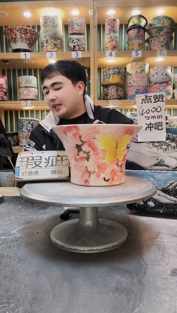 陶默认微瑕一物一拍1221-102