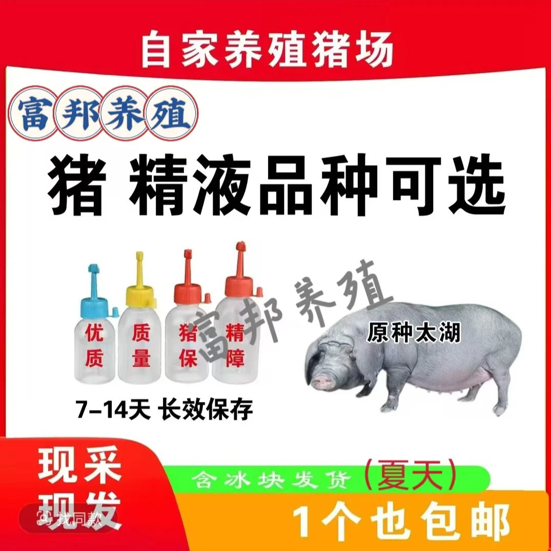 太湖种猪精一件包邮包对版生态养殖精批发下单精品发货