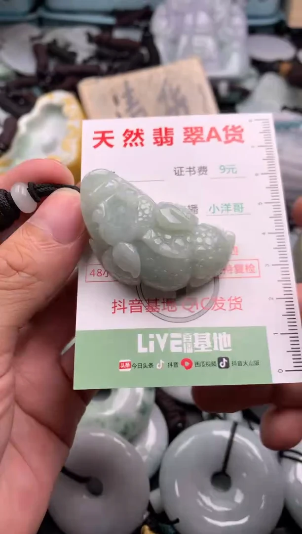 翡翠未镶嵌吊坠(不含链)1
