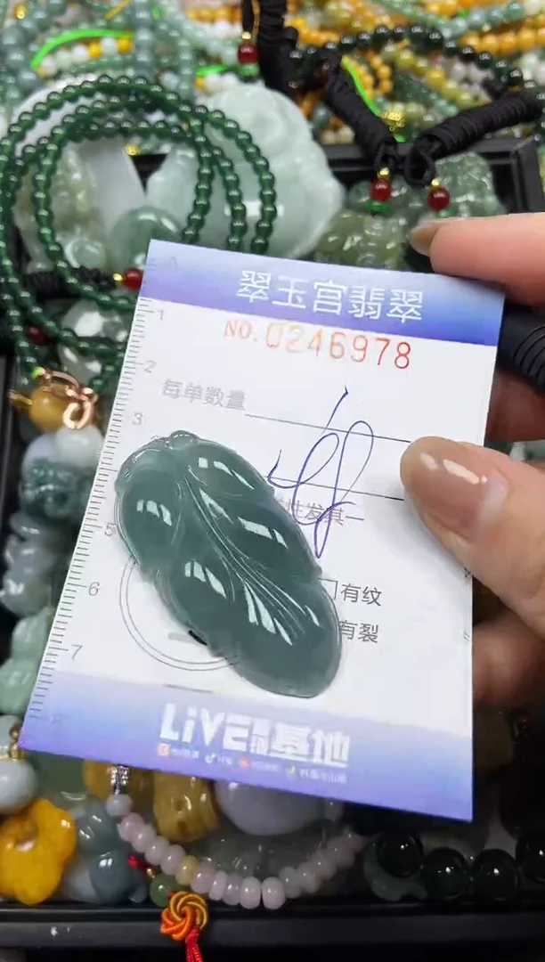 颈饰未镶嵌翡翠闪购C0246978