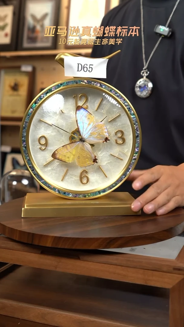 动物蝴蝶标本竞拍D65