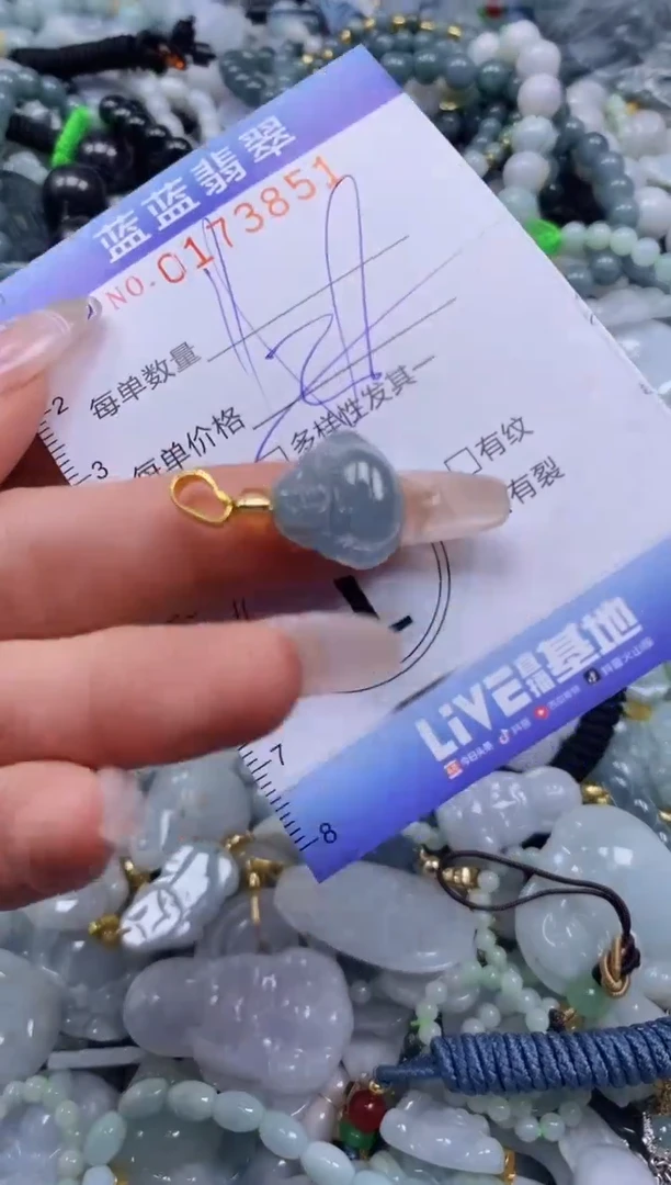 【闪购商品】翡翠颈饰未镶嵌闪购0173851多样性发其一