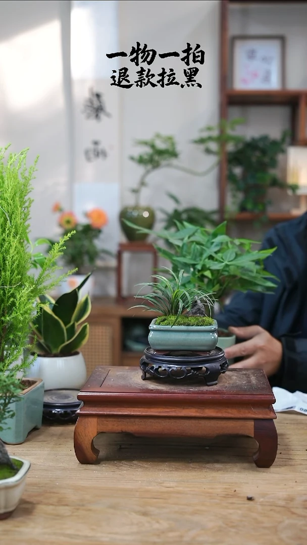 完全开放诗****方玉龙草088