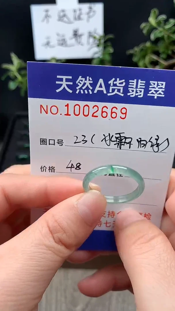 未镶嵌戒指翡翠23#