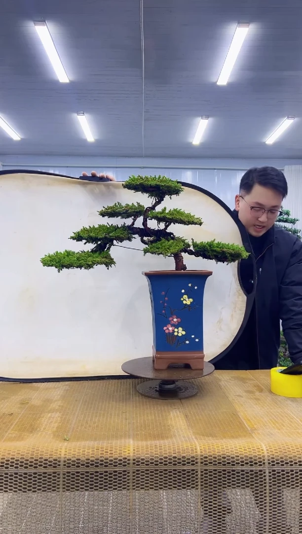 无花朵000000000000000