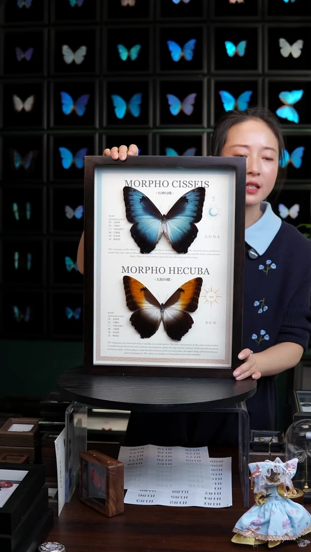 日月同辉闪蝶组合