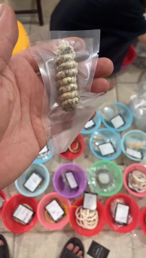 星月菩提吊坠《A007》6X5大肠