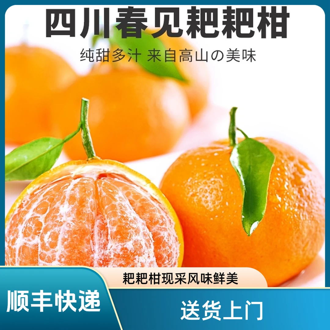 【顺丰快递】四川正宗春见耙耙柑现采摘净重2/4.5/8斤新鲜孕妇水果
