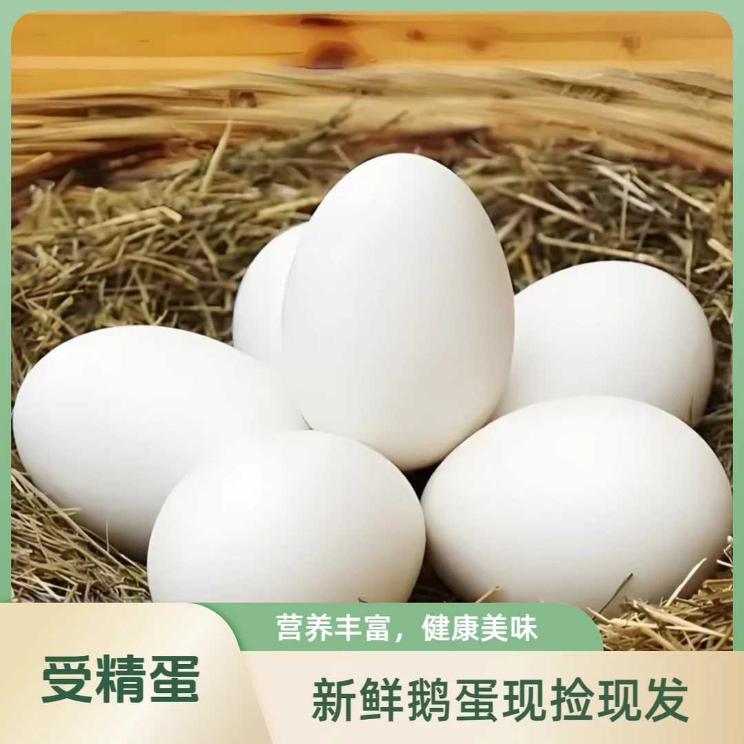 农村散养新鲜鹅蛋受精蛋蒲三鹅蛋三花鹅蛋顺丰包邮