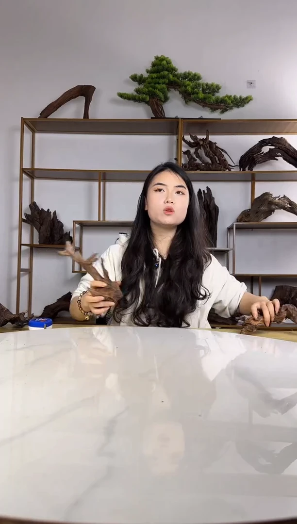 用****0拍沉木定向链接编号68