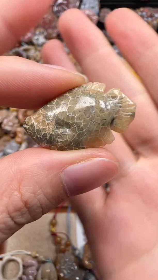 【闪购商品】硅化珊瑚（珊瑚玉）颈饰未镶嵌276