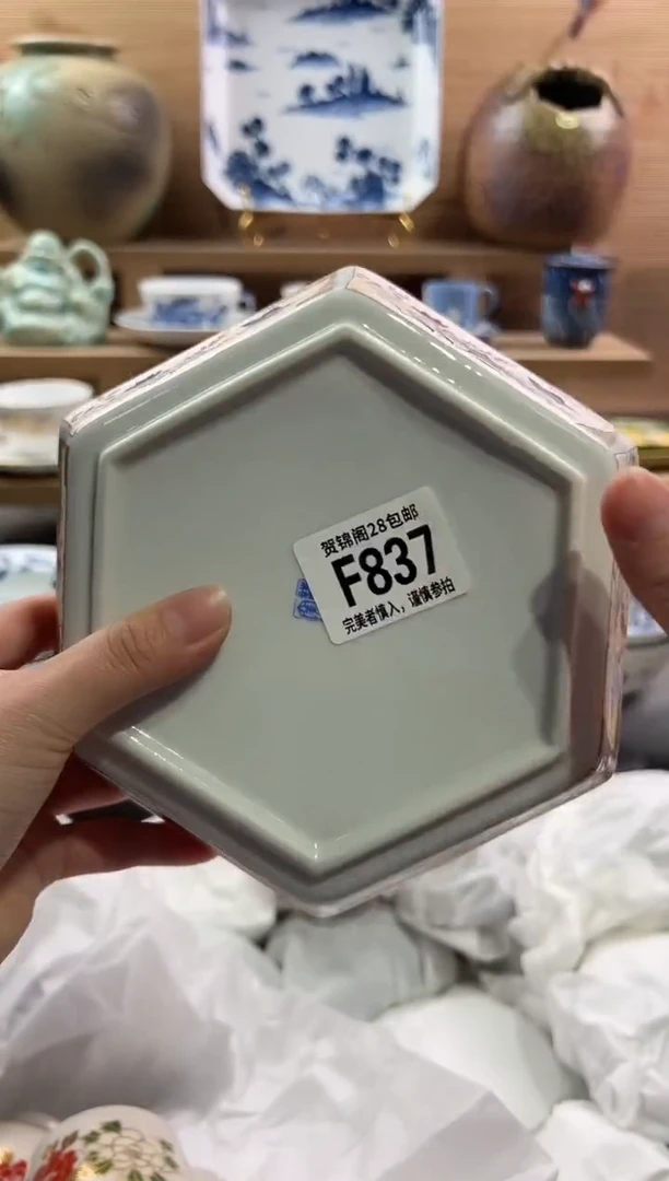 瓷片         F837