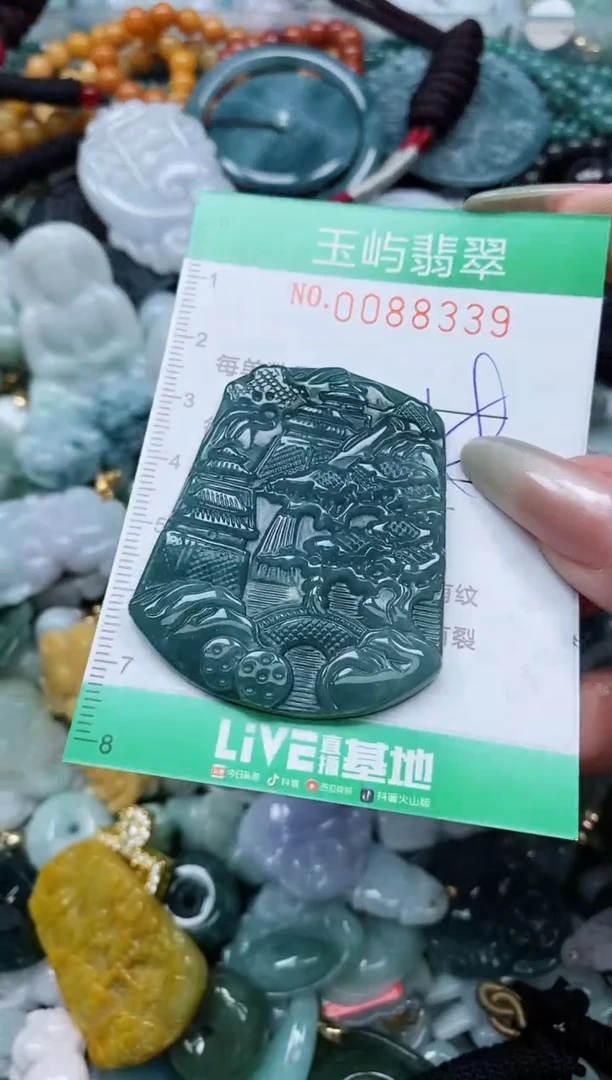 【闪购商品】翡翠颈饰未镶嵌闪购0088339
