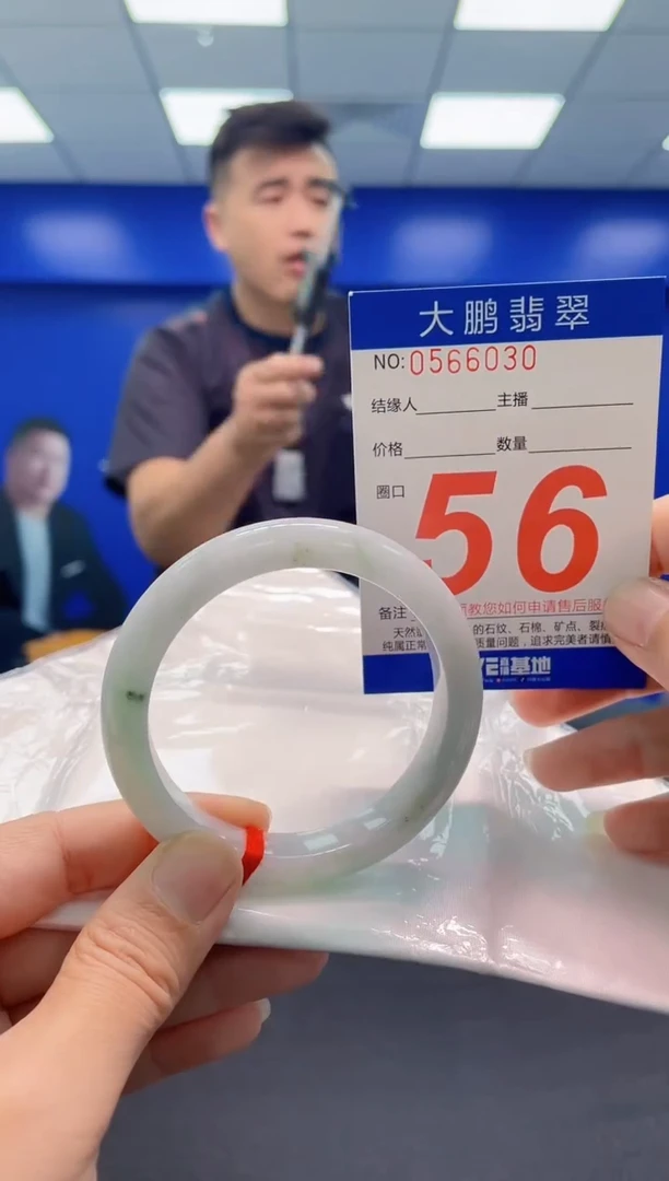 未镶嵌手镯翡翠AAAAAAAAA