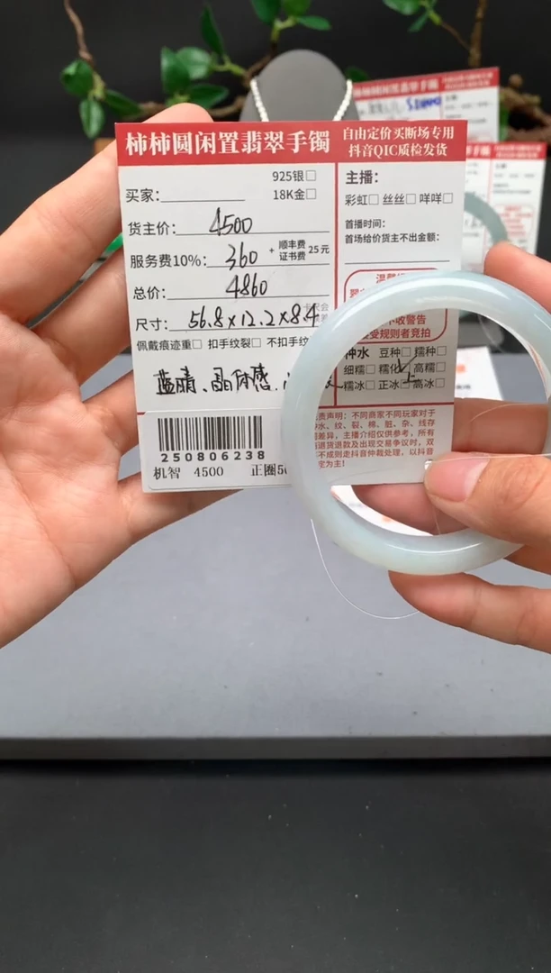 未镶嵌手镯翡翠姐姐250806238