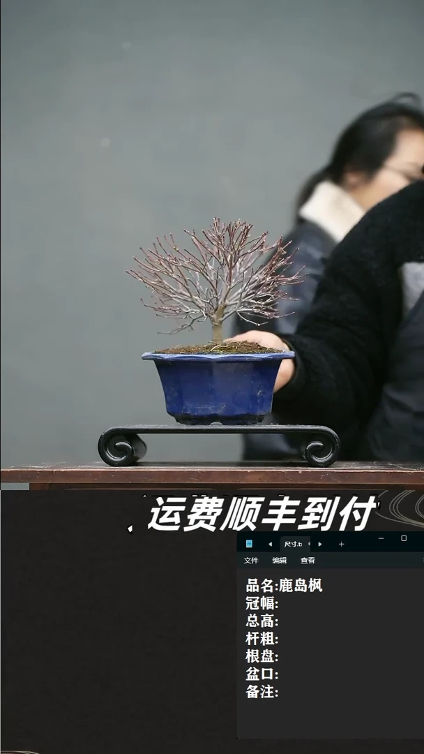 【闪购商品】16 鹿岛枫