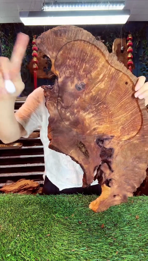 香杉木香衫树根榴27