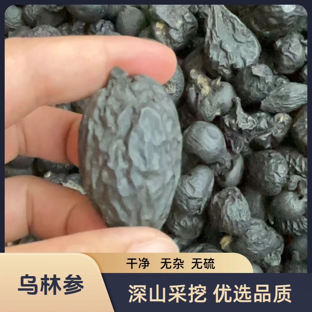 【小莫推荐】乌灵参50g起 皂角米*