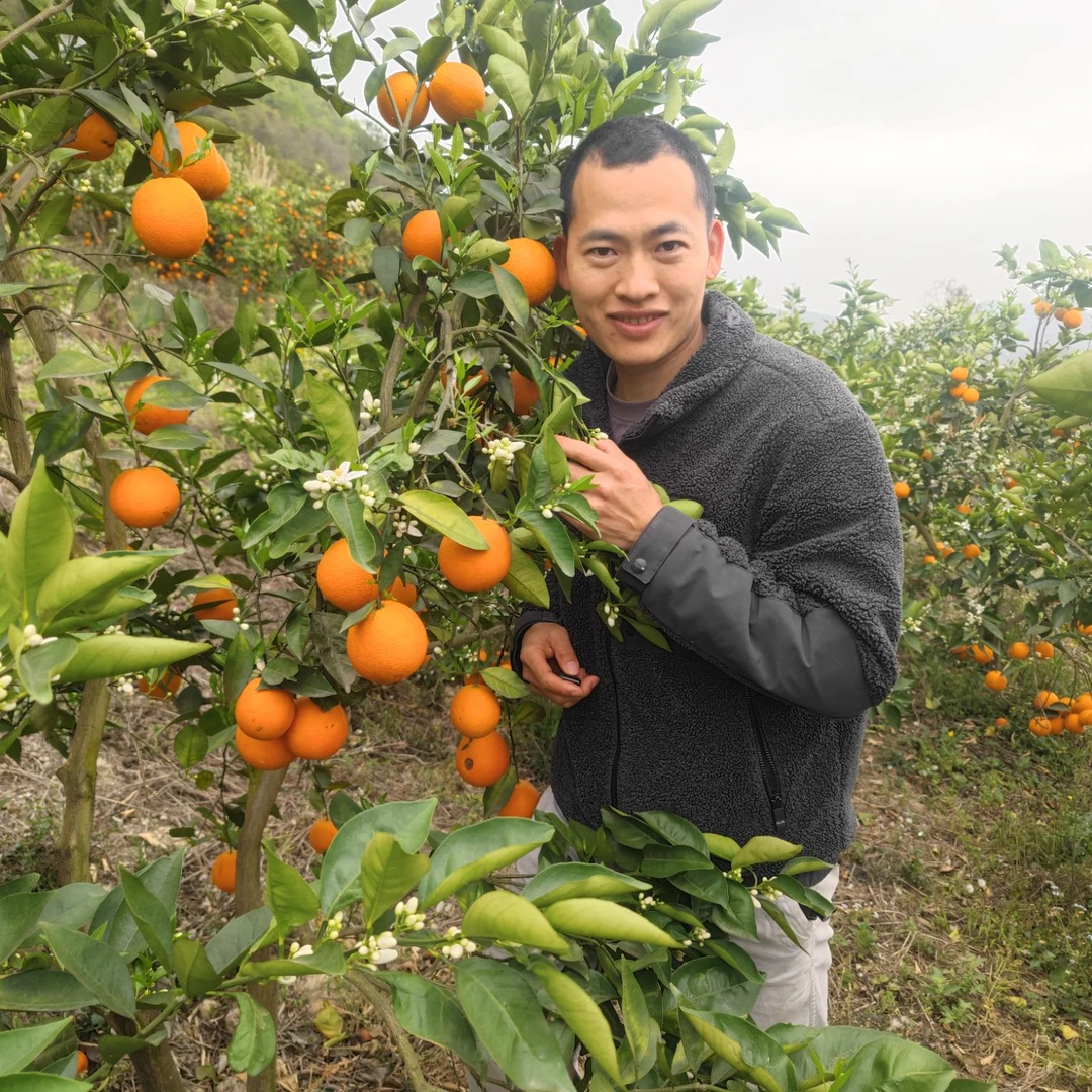 广西小勇专属 广西夏橙酸甜脆口新鲜摘果可榨汁原地直发非脐橙
