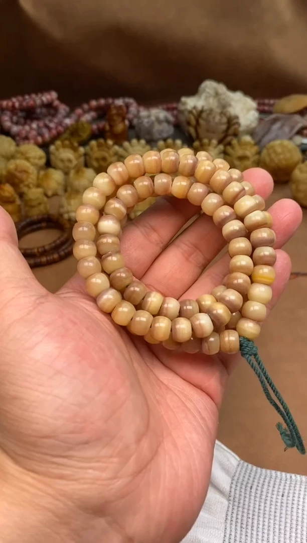 其他驼骨驼骨定向V244