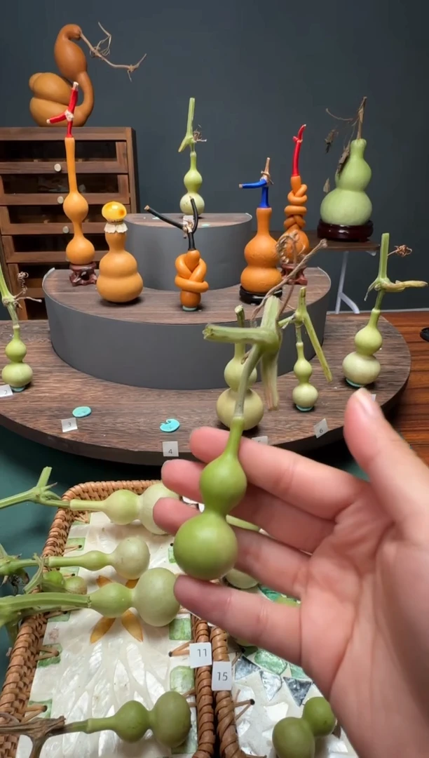 笨***M文玩葫芦摆件手把件青皮天津嘴不包成