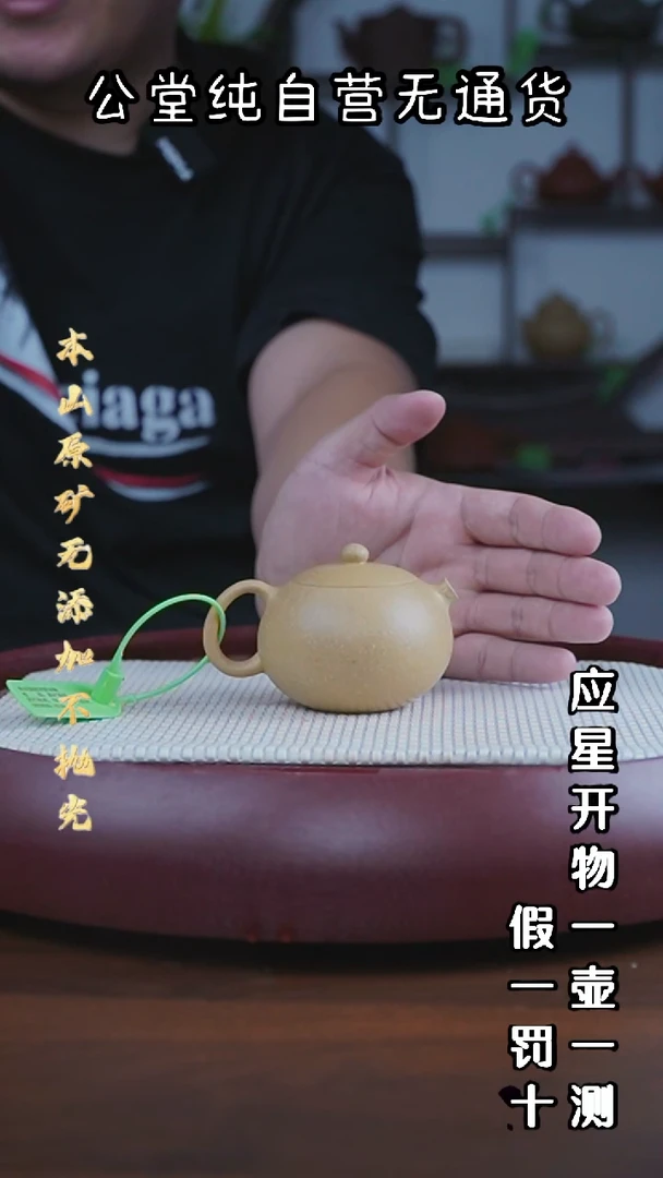 茶壶紫砂梨皮西施