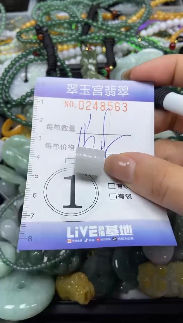 颈饰未镶嵌翡翠闪购C0248563