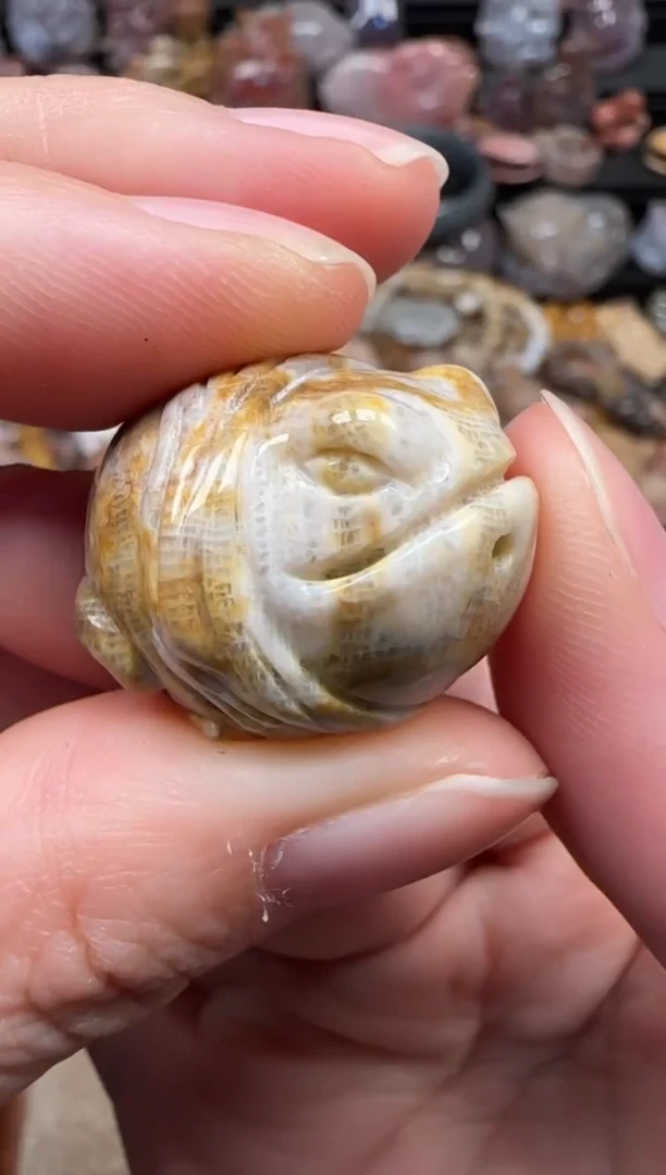 颈饰未镶嵌硅化珊瑚（珊瑚玉）028