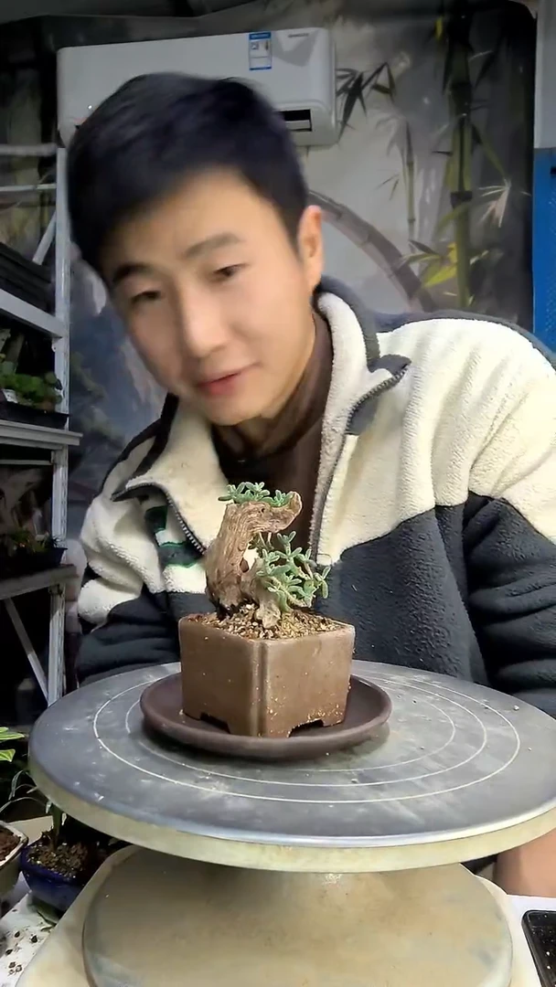 多****好中青园艺一物一拍104