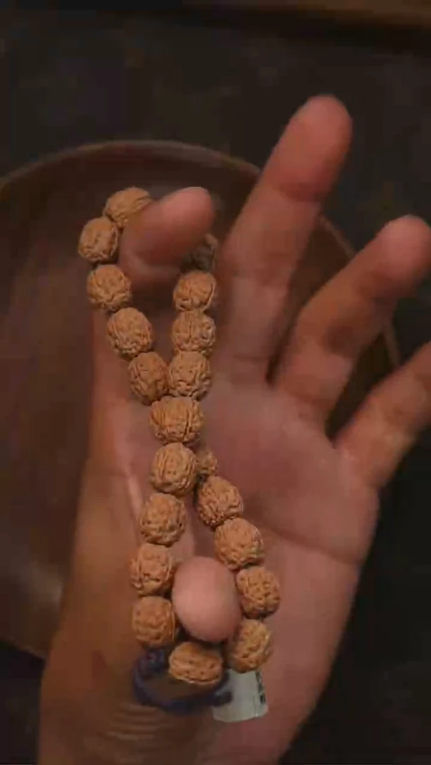 手串金刚菩提S08初代龙手串