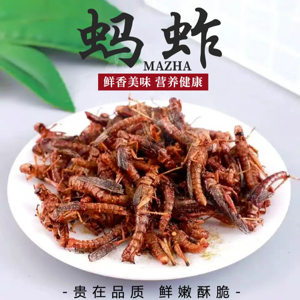 新鲜蚱蜢蝗虫活体速冻油炸烧烤山东特产精选
