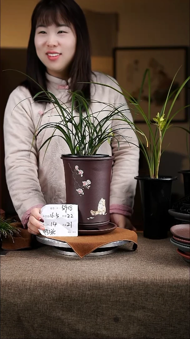 【闪购商品】紫砂花盆紫砂花盆5918+z