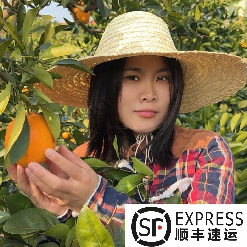【顺丰快递】正宗赣南脐橙速运产地直发新鲜应季水果整箱