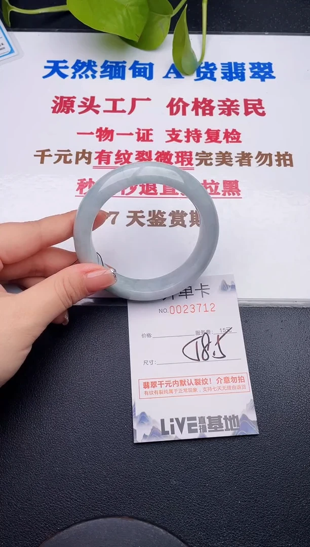 未镶嵌手镯翡翠12