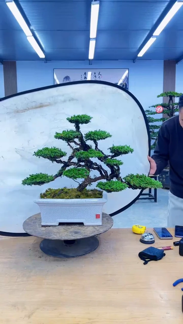 以实际为准0000000