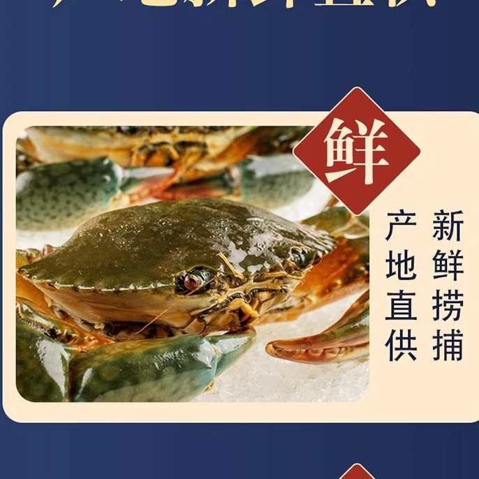 野生青蟹红树林海蟹肉蟹菜蟹（净重200-250g/只）