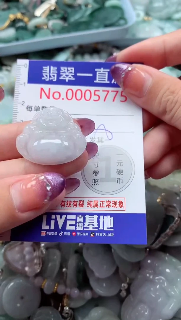 翡翠未镶嵌吊坠(不含链)5775