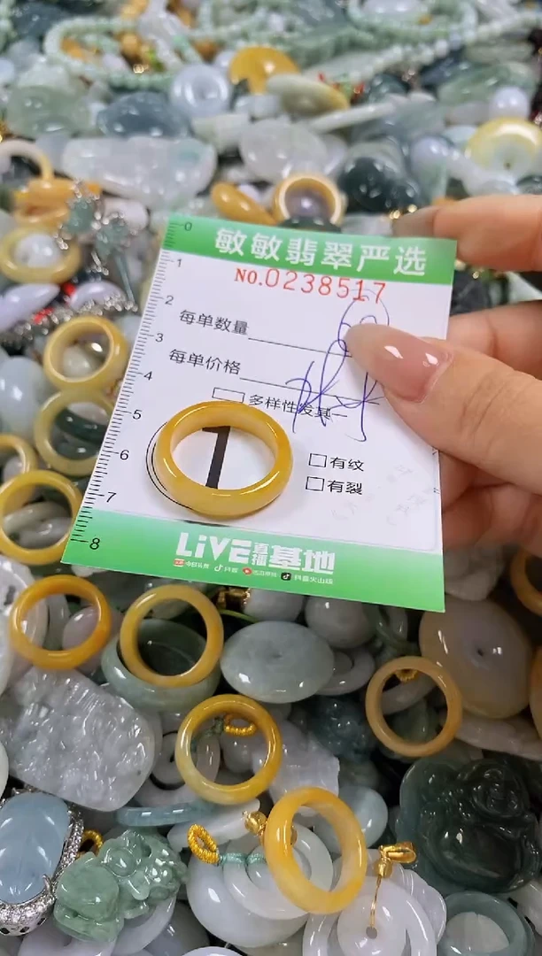翡翠未镶嵌颈饰闪购0238517