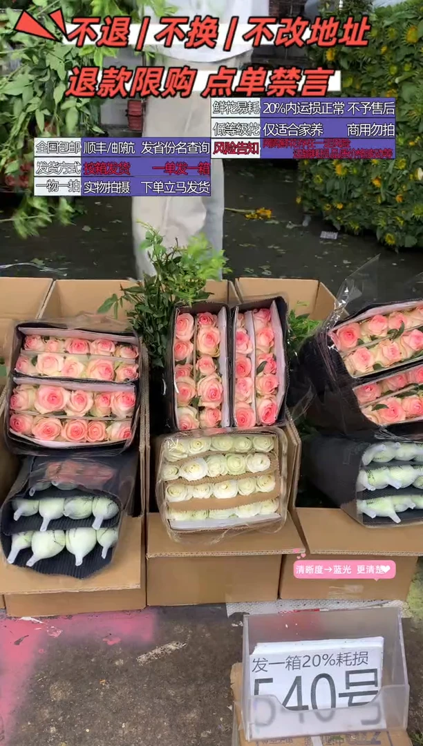 540号♥含20%耗损发一箱