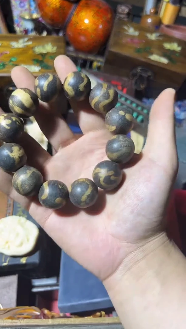 黄杨木11111111111111111111