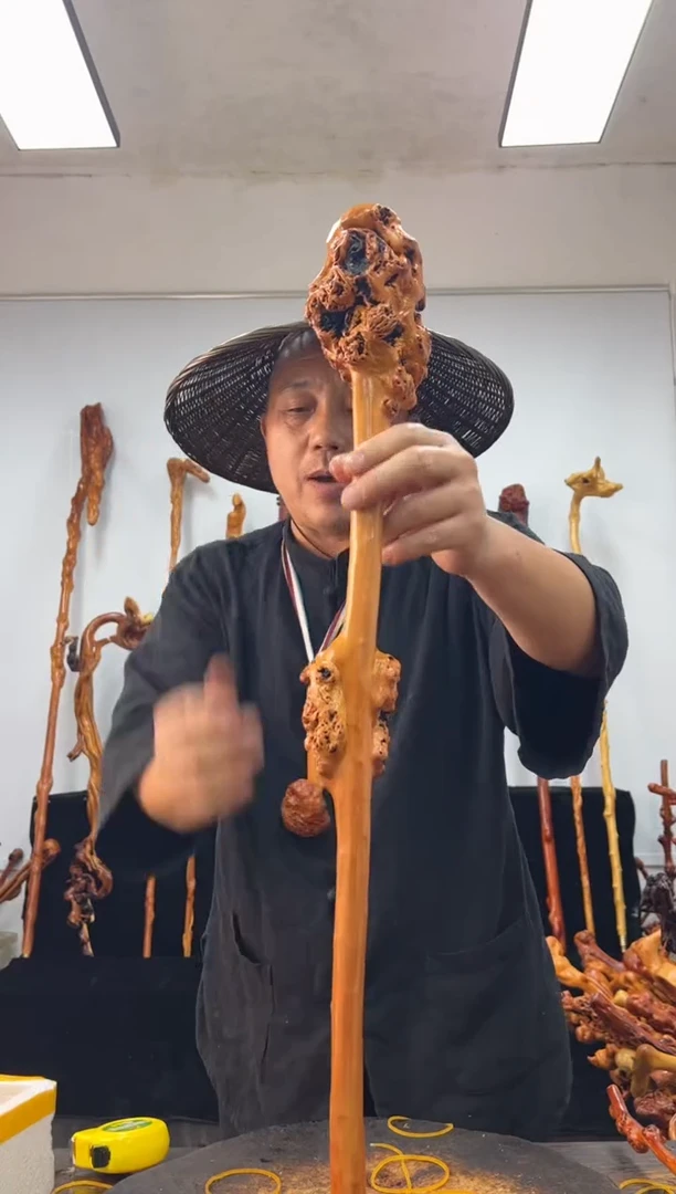 黑果木其他黑果木293