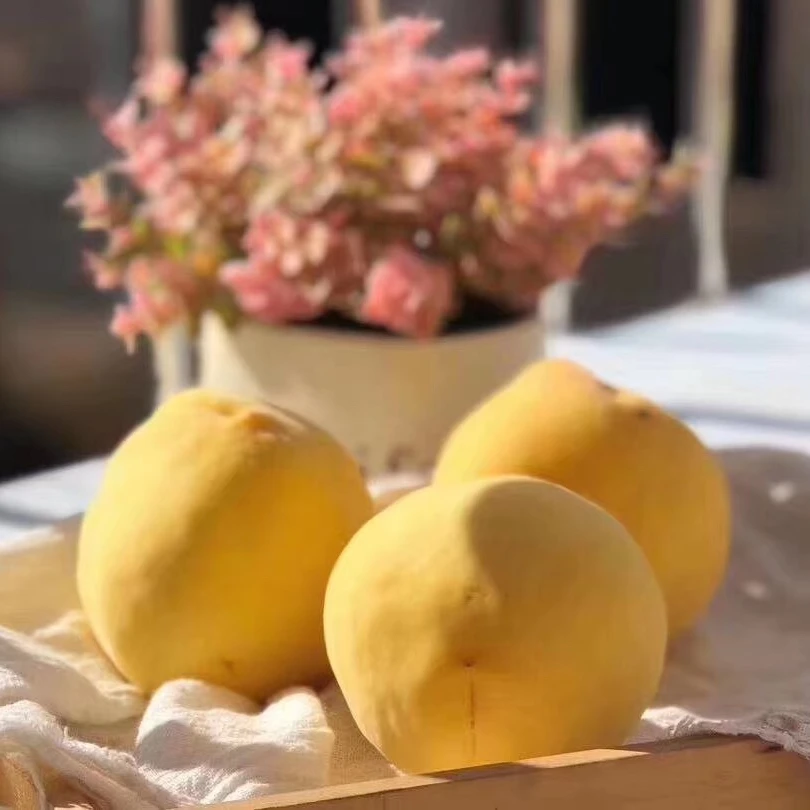 山东蒙阴黄毛桃带箱5斤装新鲜水果应季果香浓郁