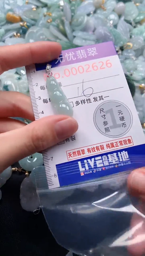 颈饰未镶嵌翡翠2626