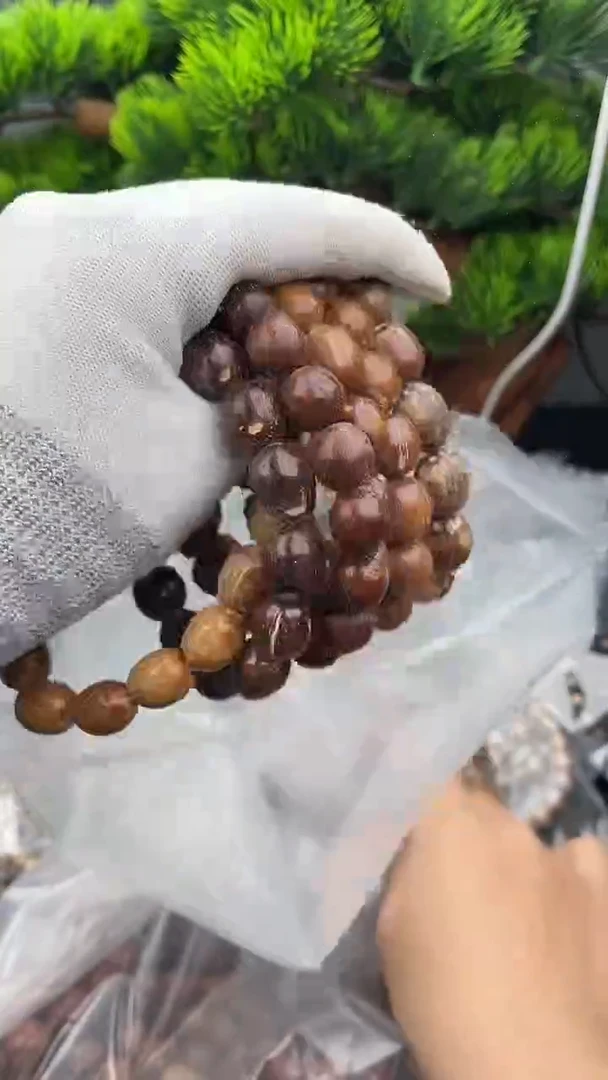 手串紫金鼠8号枣珠随机