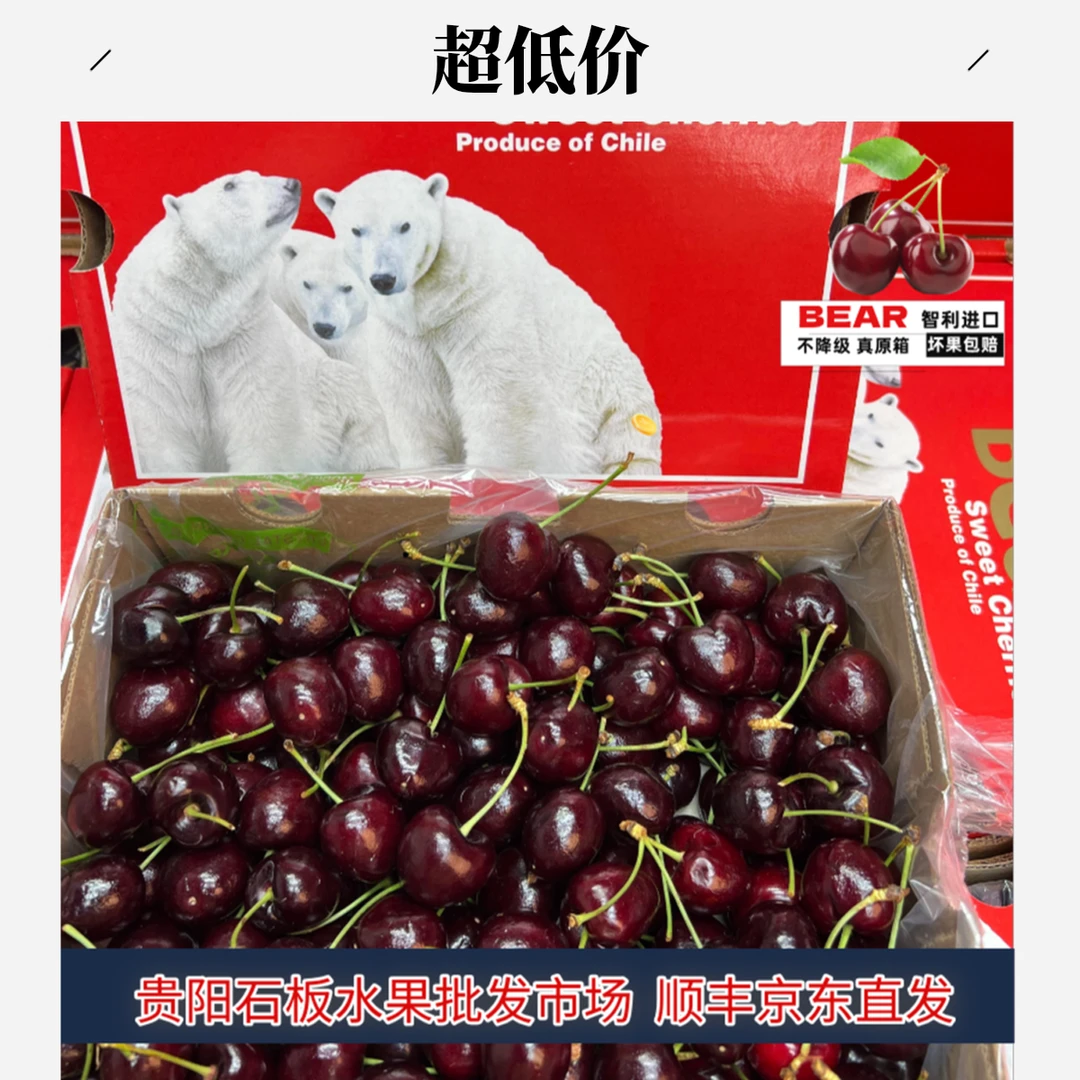 冰熊5斤桑提娜车厘子贵州次日达应季水果脆甜海运2-5JD大樱桃 内附果径卡桑提娜樱桃智利共和国