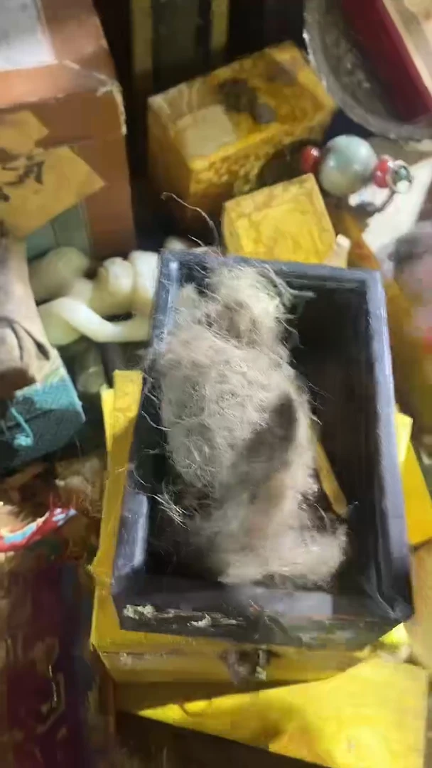 香榧木（1个细金条0