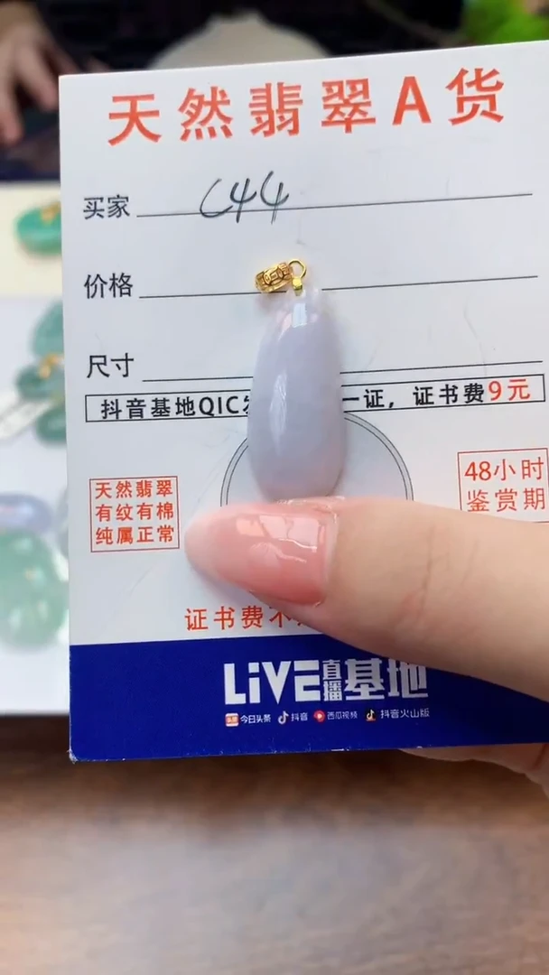 颈饰未镶嵌翡翠天然A货翡翠挂件